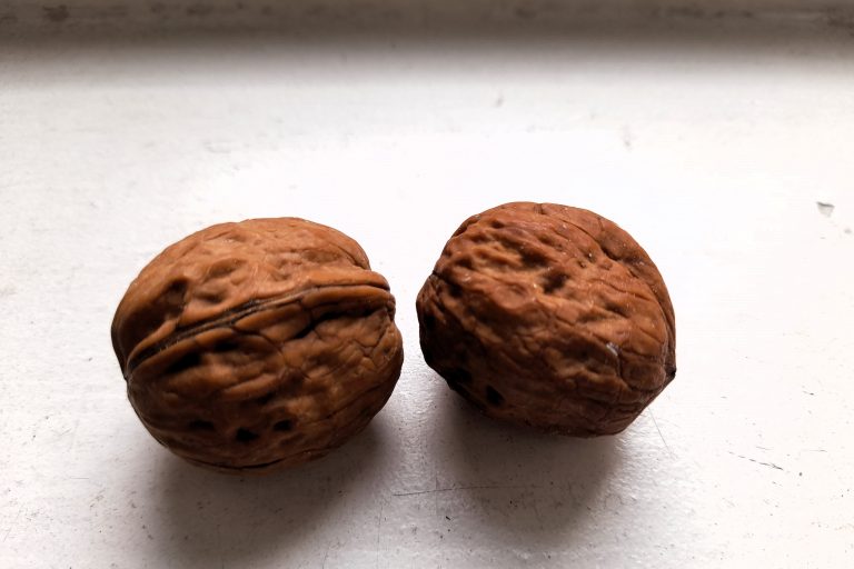 Zwei Walnüsse liegen auf einem Tisch